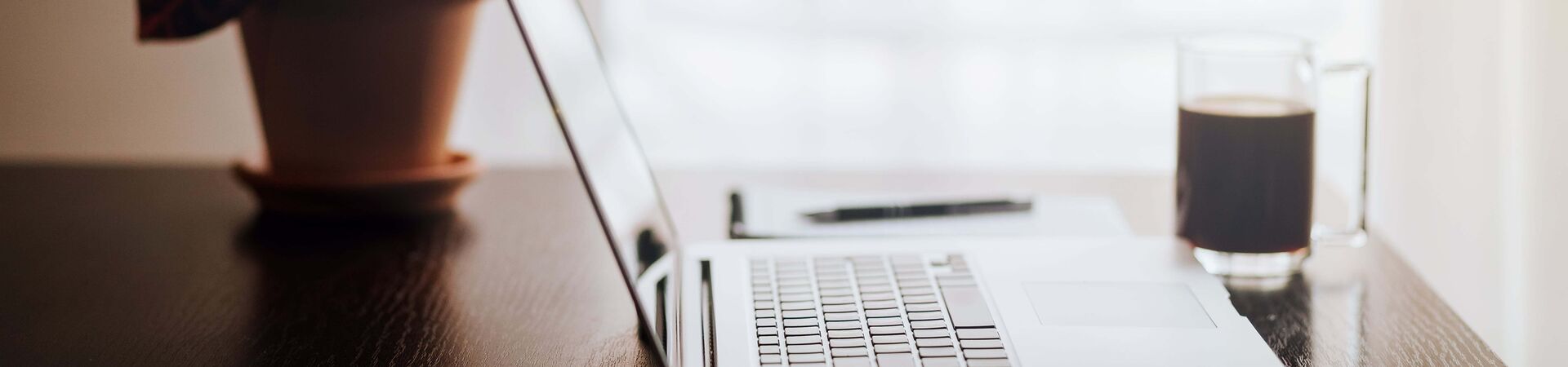 Insights | Blog Thuiswerken in 2021 | DataVisual Thuiswerken in 2021 | IT-Blog | DataVisual